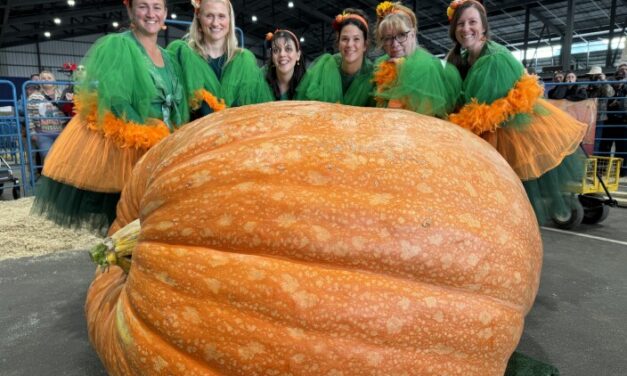 The Anchorage Weekender: The Alaska State Fair, so many concerts and 8 more local events