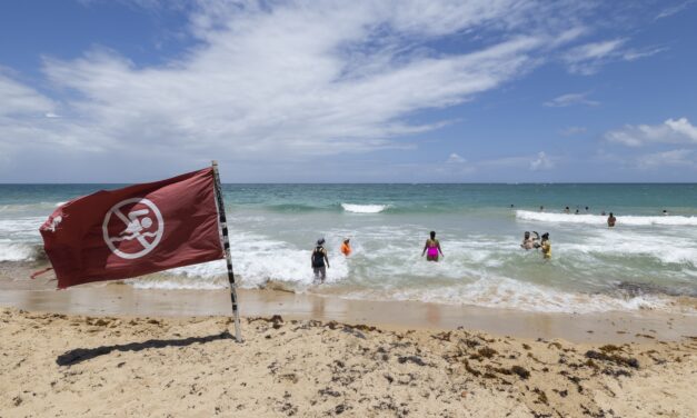 Hurricane Erin becomes a Category 4 in the Caribbean as the region braces for flooding