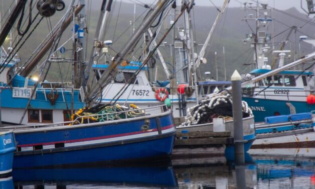Sand Point boat captain charged with drug-related felonies