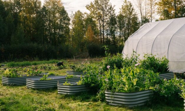 Alaska Native leaders say the USDA’s reorganization plan could threaten tribal food security