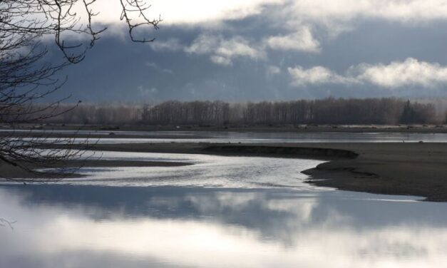 A mineral exploration project near Haines has changed hands again