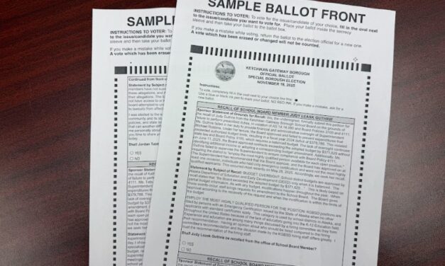 These are the unofficial results for the Ketchikan special borough election