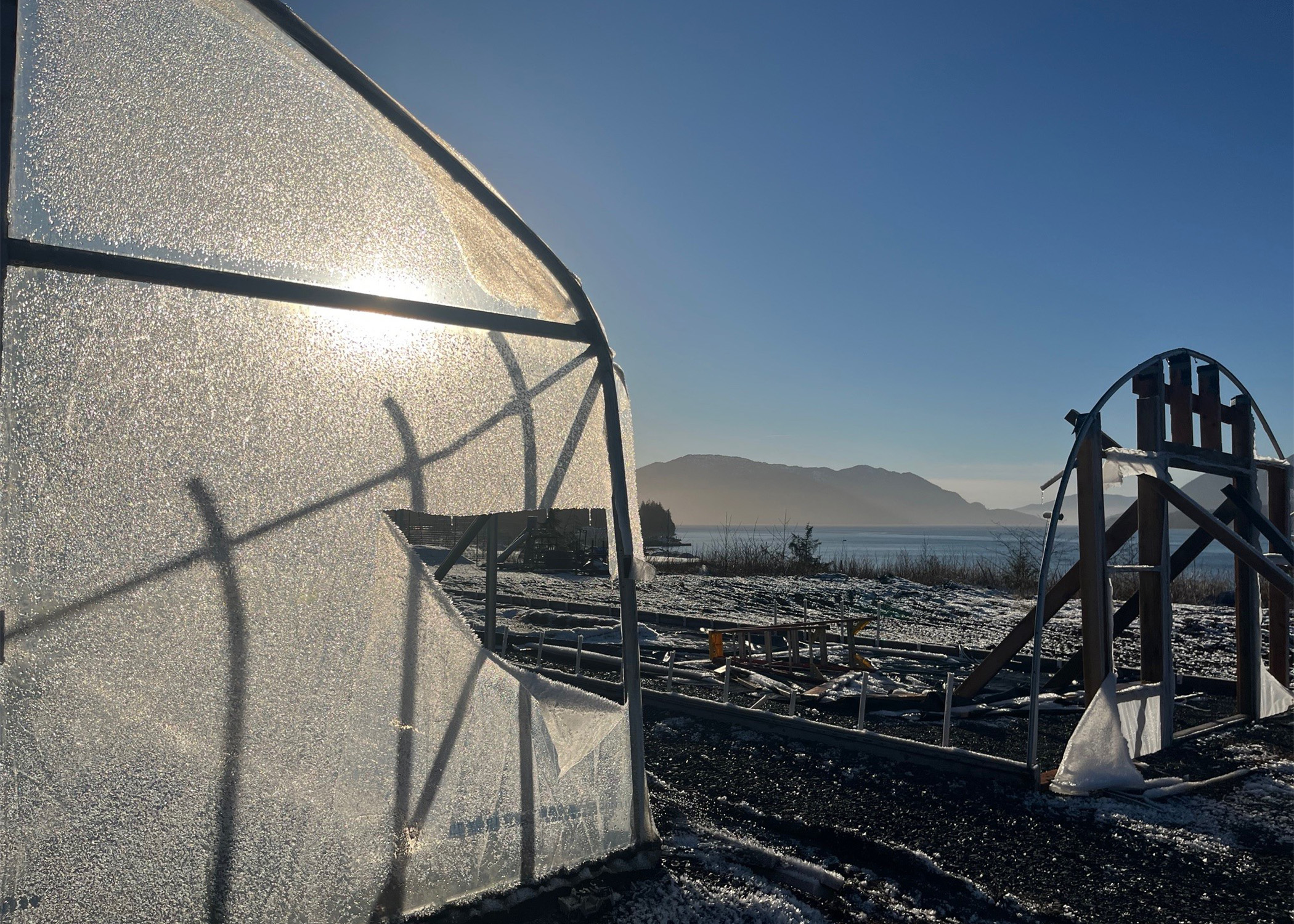 After a winter storm collapsed grow tunnels, a local farm presses on