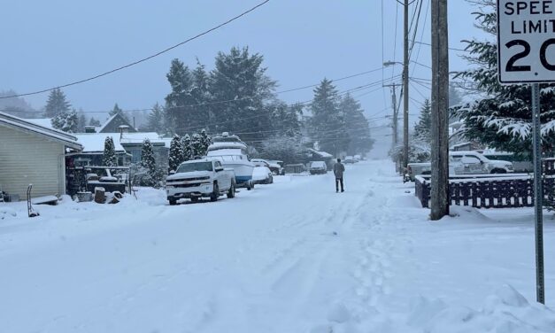 Sitka snow flurries shift to heavy rains on Friday, NWS says