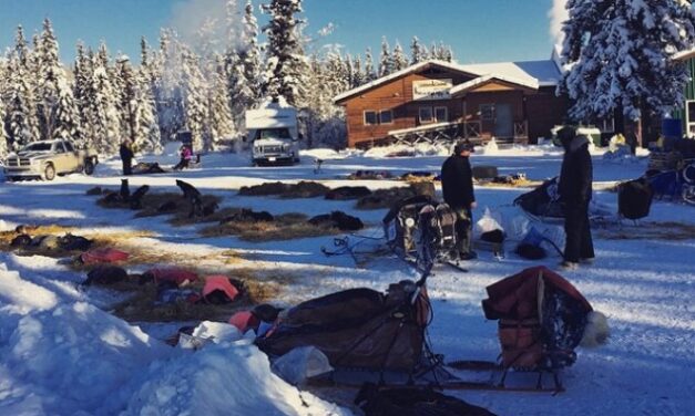 Canada’s 2026 Yukon Quest sled dog race has been canceled