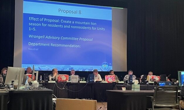 Board of Game approves limited mountain lion hunt, rejects Zarembo Island elk proposal