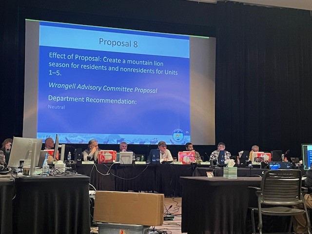 Board of Game approves limited mountain lion hunt, rejects Zarembo Island elk proposal