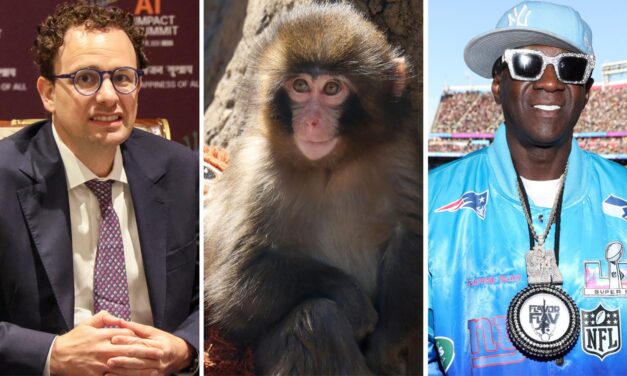 Forget the State of the Union. What’s the state of your quiz score?