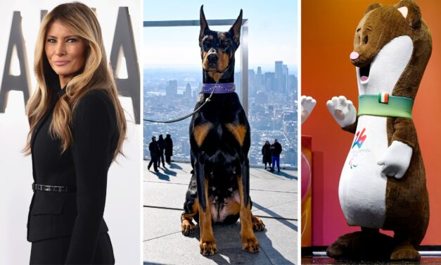 What does the CIA not want you to know? The quiz has the secret