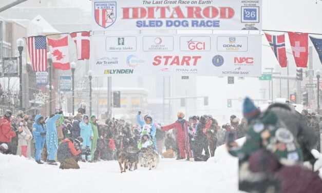 The snow is back: 2026 Iditarod kicks off with Anchorage ceremonial start