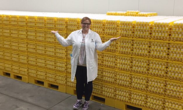 Egg prices have taken a beating. What’s behind the drop?