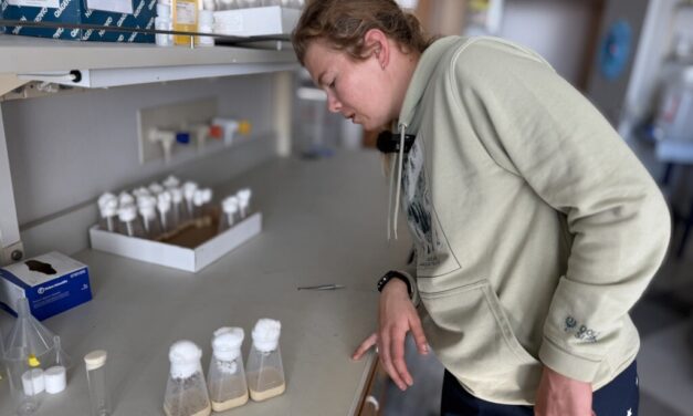 As Paralympics approach, U.S. skier Sydney Peterson balances training and research