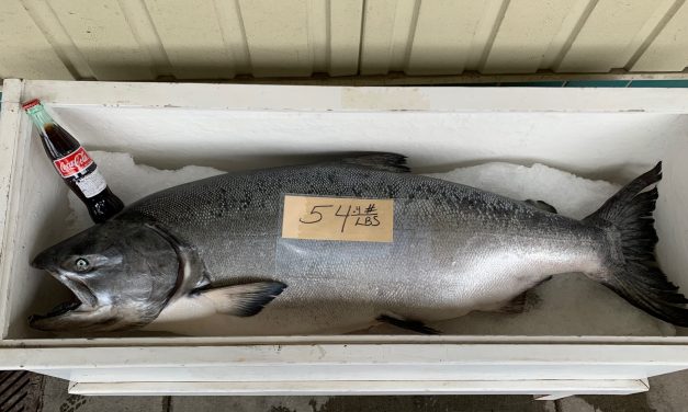 Southeast back to an average harvest goal for king salmon after last year’s low