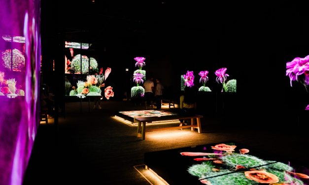 The Sonoran Desert teems with wildlife. These 3D scans could help protect its future