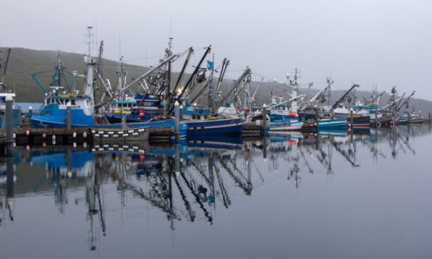 Aleutians East Borough sues Board of Fish over new Area M salmon regulations