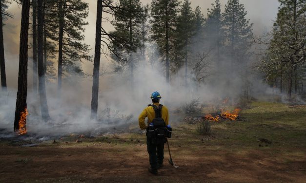 New burn bans and Trump’s battle with immigration and DEI are impacting forest fires