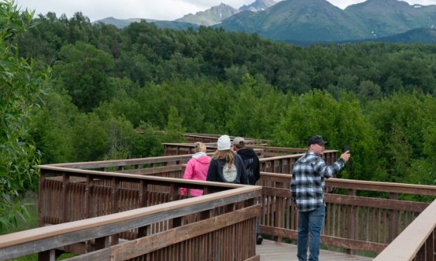 New trail highlights 35 of Anchorage’s best birding spots