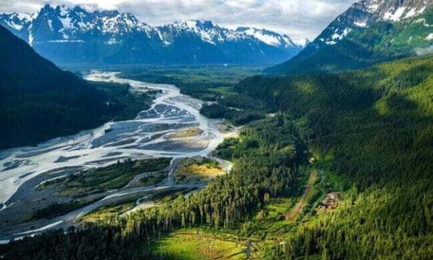 Proposed mine raises concerns about Taku River salmon. Mining company assures safeguards.