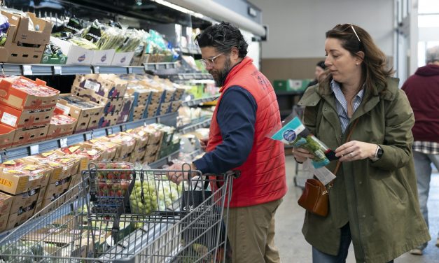 Budget-conscious shoppers are feeding a boom in discount groceries