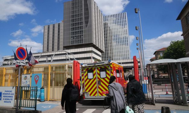 French hantavirus patient is critically ill as outbreak grows to 11