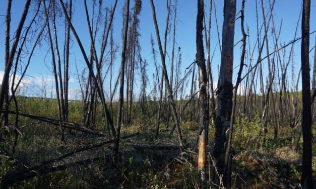 Alaska prosecutors charge man with multiple felonies for allegedly starting summer 2025 wildfire