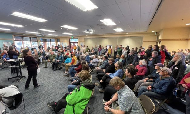 ‘It’s important to us’: Sitkans turn out to share thoughts on draft Tongass plan docs