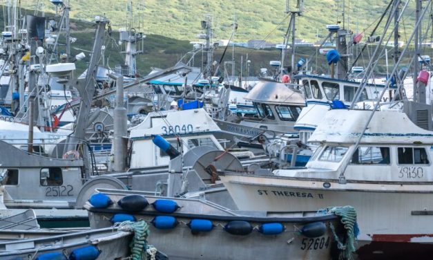 State voids Area M restrictions after Aleutians East argues ethics violation