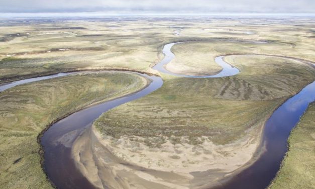 Oil industry has an idea to speed permitting on western Arctic leases. BLM likes it.