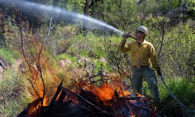 What you need to know about wildfire season | Talk of Alaska