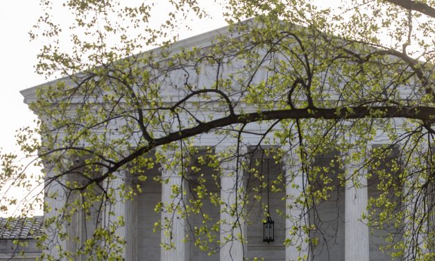 Meet the law students working to bring workplace protections to federal courts