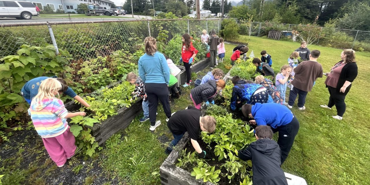 Elementary School Garden Needs Summer Volunteers