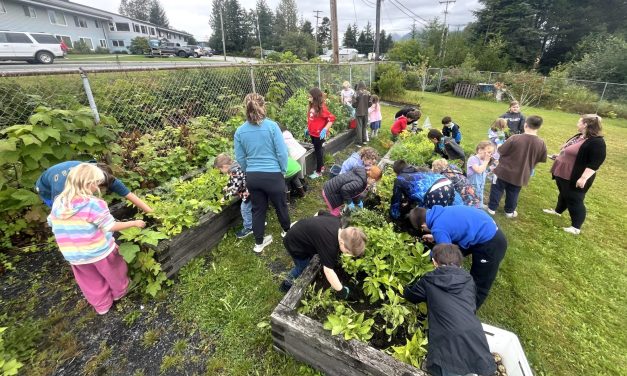 Elementary School Garden Needs Summer Volunteers