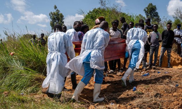 How Ebola kills — and what it takes to stop it