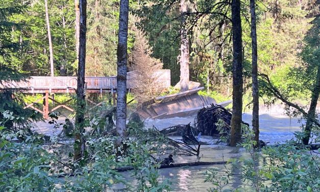 Glacial outburst flood damages bear viewing site in Hyder