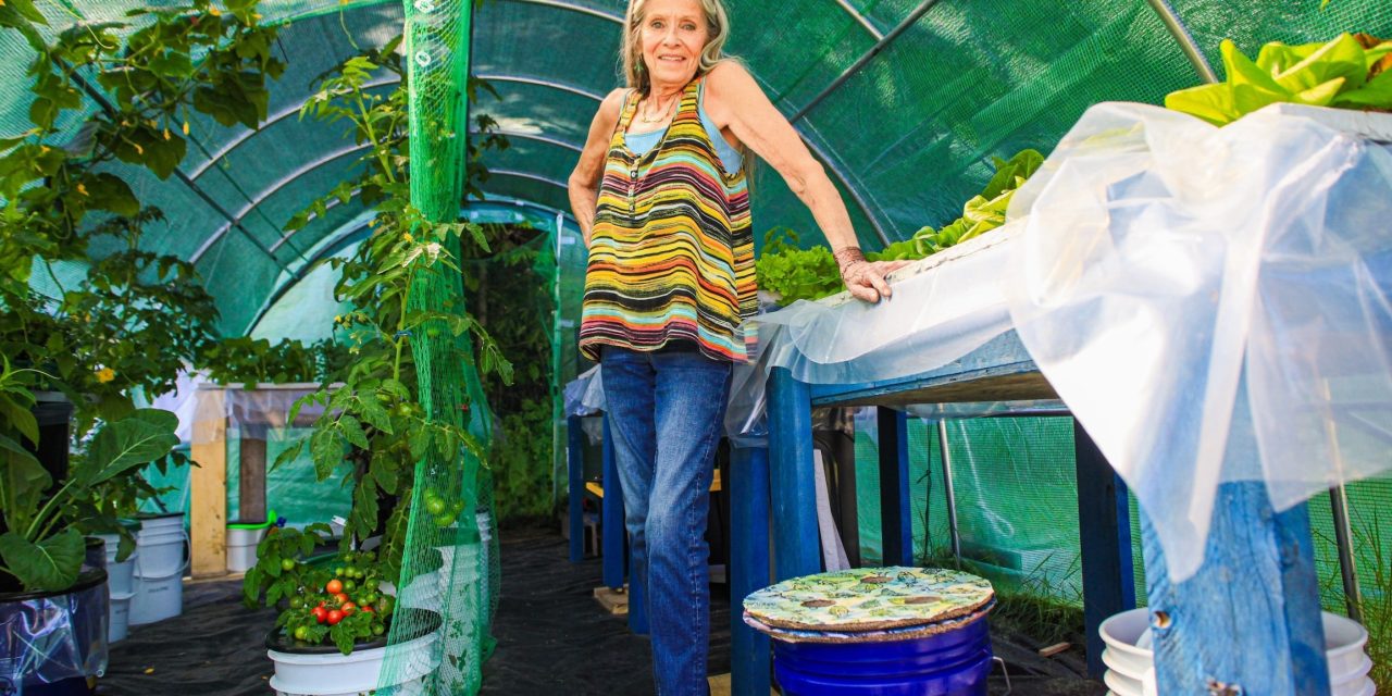 Hydroponic greens at Senior Apartments