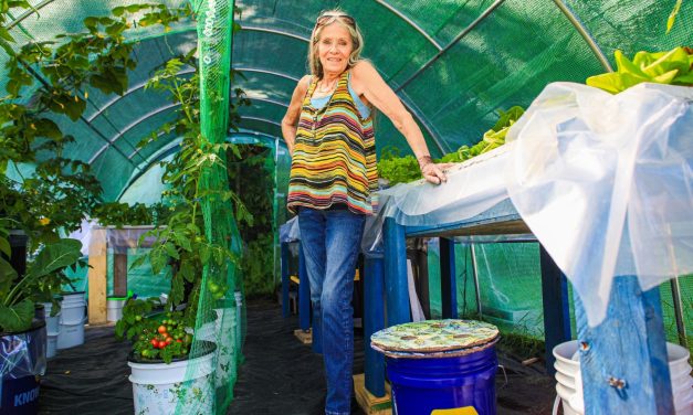 Hydroponic greens at Senior Apartments