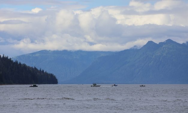Petersburg volunteers respond to entangled whale