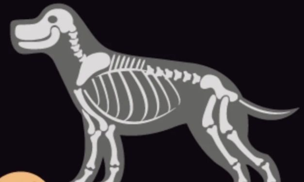 Pet owners rally for x-ray machine!