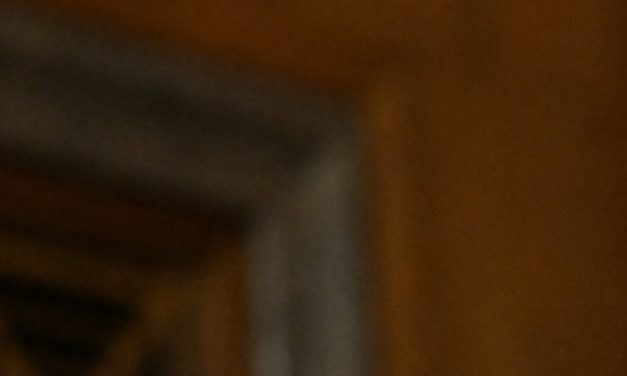 Sen. Paul threatens to hold Fauci in contempt. And, a new rule undercuts U.S. asylum