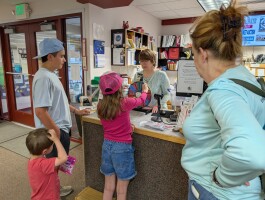 Alaska librarians worry broadband costs will skyrocket after federal review