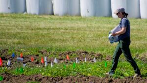 There’s more than meets the eye at Matanuska Experiment Farm