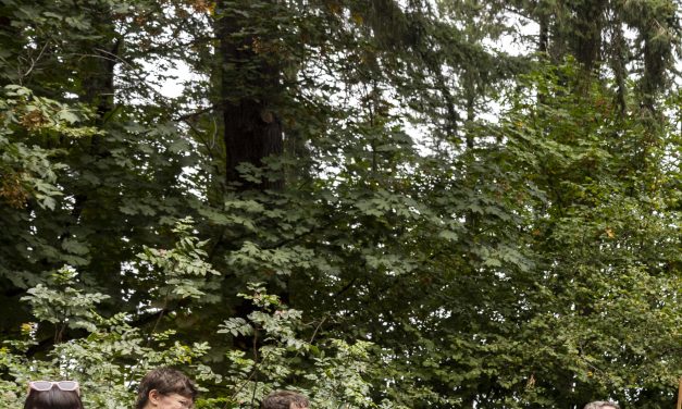 In Portland, this soap box derby combines downhill speed with extreme pageantry