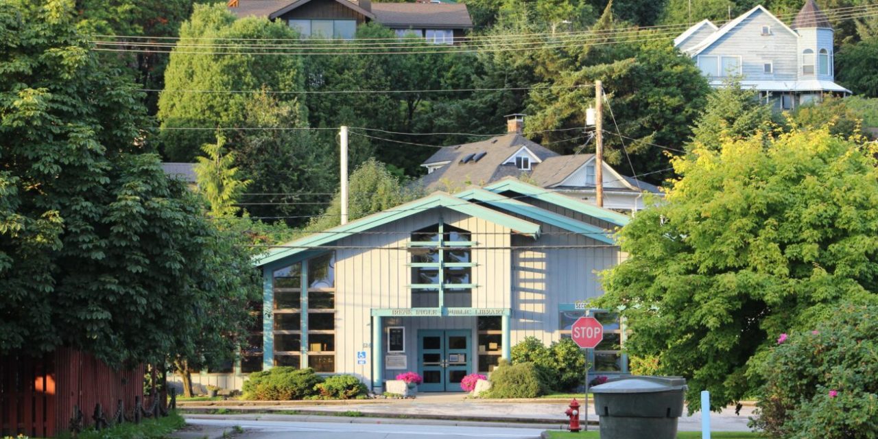 Library looking for volunteers to share knowledge & talents