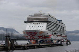 Endangered fin whale discovered dead on cruise ship bow in Sitka