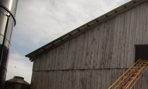 American farmers are hurting — and worried about their futures
