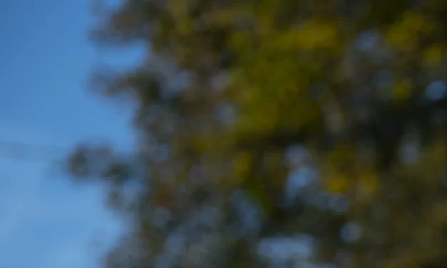 Their colleges closed, but the government refuses to erase their debts, lawsuit says