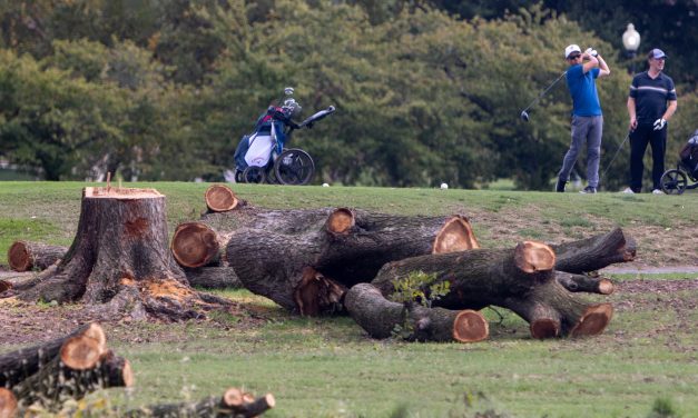 A judge blocks the government’s tree-clearing spree at a municipal D.C. golf course