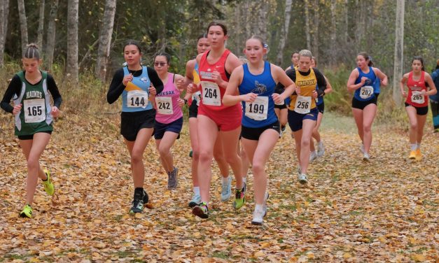 Wolves take second-place honors in Division III state championship
