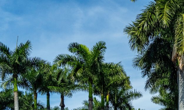 Trump proposes Camp David-style presidential retreat at his private Florida golf club